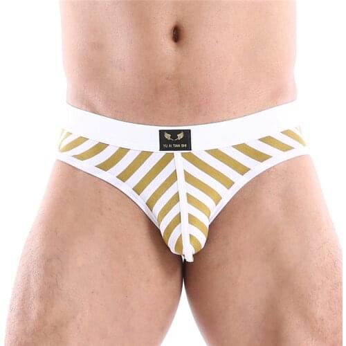 Mens Briefs Panties Men Cotton Striped Underwear Briefs Breathable Cuecas Striped Brief Panties for Men Sexy Underpants Shorts