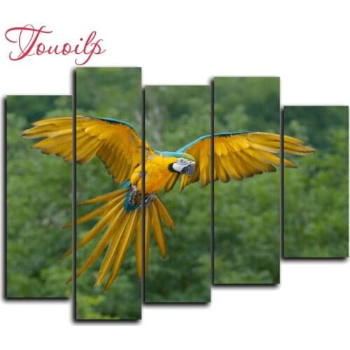 5pcs,Full,square&round parrot Diamond Embroidery,5d Diamond Painting,Cross Stitch,3D,Diamond Mosaic,diamond pattern,Crafts