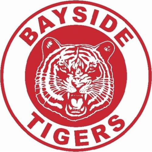 90*150cm FVD Brombacher Banner Flag