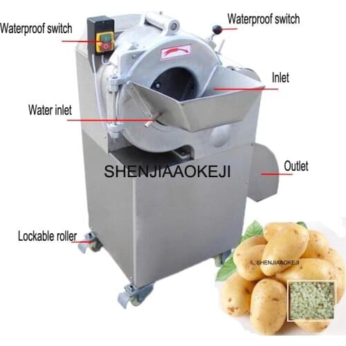 CHD-100 Dicing machine 800-1000kg/h stainless steel multifunctional vegetable cutter vegetable spiral slicer 220V 1PC