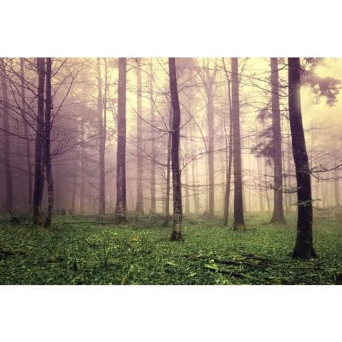 High Spray Printed Decoration Art Beautiful View Picture Foggy Forest Canvas Wall Stickers