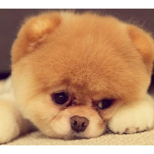 Test product dont delete 1