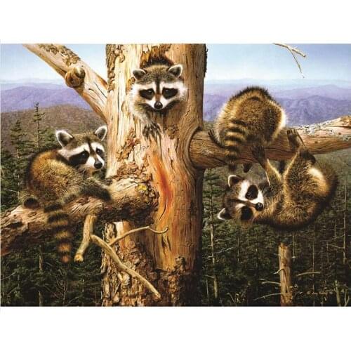 5d Animal Diamond Painting Kits Raccoon Full Diamond Dotz Mosaic Embroidery Picture Crystal Stones Sticker Decal Wall Art Craft