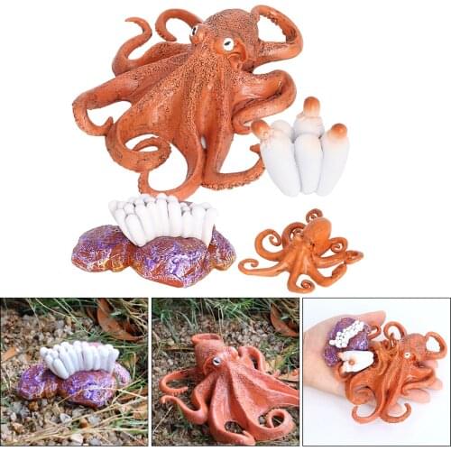 4 Stages Life Cycle of a Octopus, Insects Plastic Octopus Toy Figure - Authentic Hand Painted Model