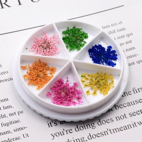 Gypsophila Nail Flower Decoration 3D Beautify Fingers Various Colors Dried Flower Nail Decoration Natural Floral Sticker for Fe