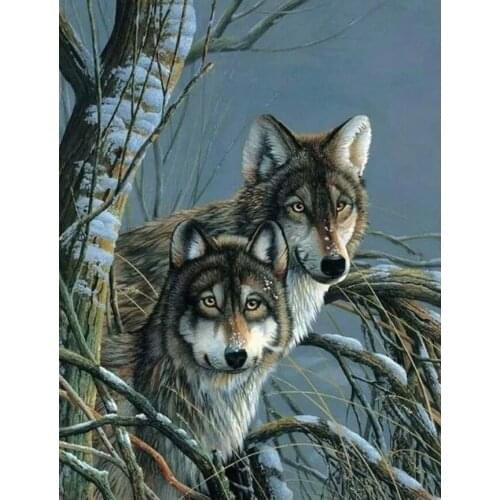 5D full needlework diy diamond painting wild wolf 100% square/round drill animal mosaic embroidery rhinestone wall decor AA666