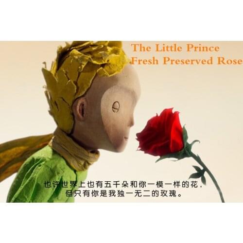 EMS 3PCS/LOT The Little Prince Glass Cover Fresh Preserved Rose Flower Immortal Colorful Roses for Valentines Day Wedding Gifts