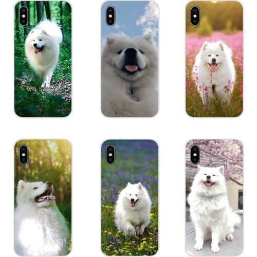 Animal samoyed Dogs Accessories Phone Cases Covers For Huawei Honor 4C 5C 6X 7 7A 7C 8 9 10 8C 8S 8X 9X 10I 20 Lite Pro