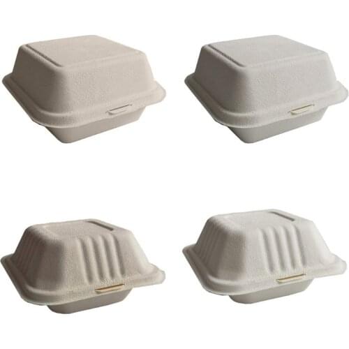 Disposable Takeout Food Containers Leak Proof Cake Hamburger Holder Box for Restaurants Biodegradable 50Pcs/bag