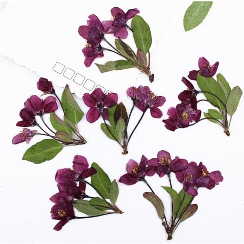 Begonia Flower With Branches Multi Head Dry Flower Embossing And Sticking Face Decoration