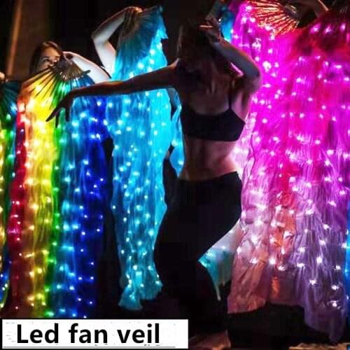 Ruoru 1 Pair 2 Pieces Led Fan Veil Belly Dance LED Fan Accessories Women LED Light Belly Dance Veil Performance Props Costumes