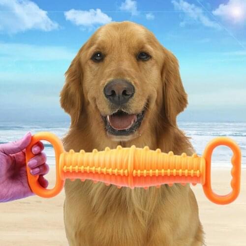 Dog Squeaky Toys Pool Toys Floating Toys For Interactive Fetch Play Dog Chewer Toys Dog Playing Toys Lovely Fun Pets Plaything