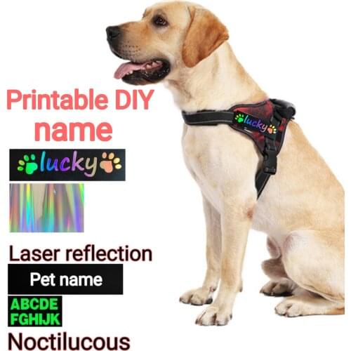 Dadugo Collars, Harnesses And Leashes