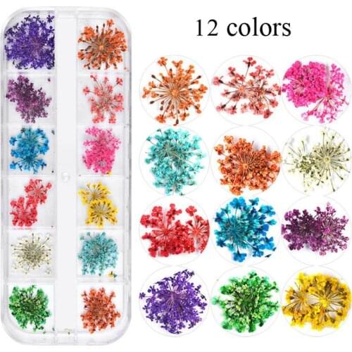 12 colors Nail Art Dried Flowers Sticker Natural Real Dry Flower Nail Art Decoration Lovely Flower Beauty Nail Stickers