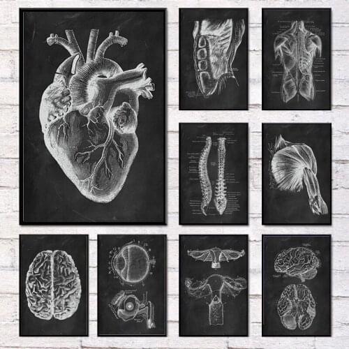 Human Anatomy Skeleton Organ Muscular System Canvas Painting Poster Print Wall Art Picture Body Medical Clinic Office Home Decor