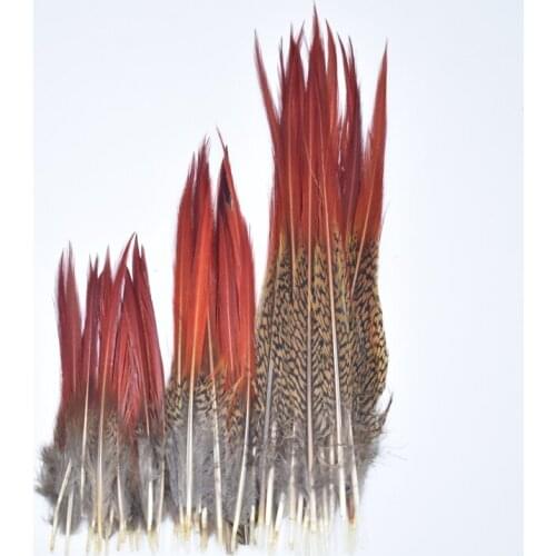 Rare Pheasant Feather 5~25cm/2-10" Natural Feathers for Crafts Red Sword Feathers Plume Decoration Plumas Carnaval Feather Top
