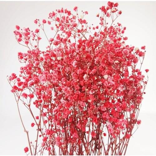 Ypsophila Bouquet Small Stars Babys Breath Flower bouquets gift DIY Crafts Wedding Room Decoration Home Decoration