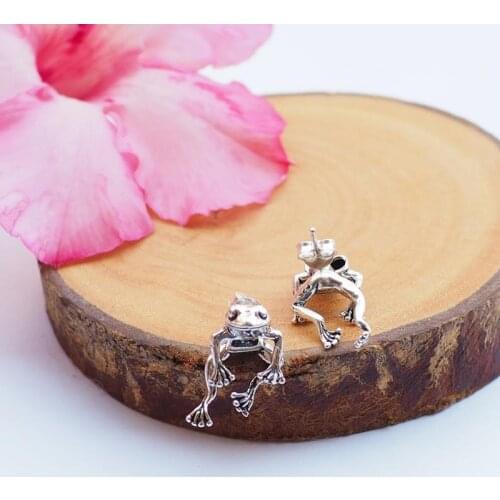 2021 Korean Cute Frog Piercing Earrings For Women Girls Gothic Punk Animal Stud Earrings Female Street Bar Jewelry Brincos