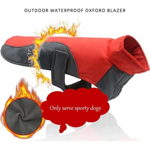 Autumn and winter pet clothes dogs outdoor warm large and medium-sized dogs waterproof plush thickened pet vest