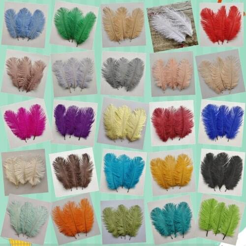 More Colors Wholesale 500pcs High Quality Natural Ostrich Feathers 20-25cm/ 8-10 inch For Wedding Party Accessories Decoration