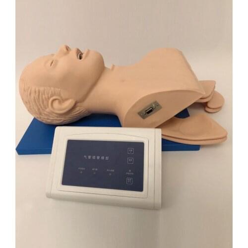 Intubation Manikin Study Teaching Model Airway Management Trainer PVC With Teeth