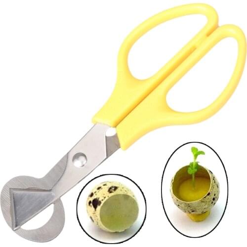 Quail Egg Scissors Bird Egg Scissors Stainless Steel Egg Cutters Egg Cutters Egg Shell Cutters Egg Opener