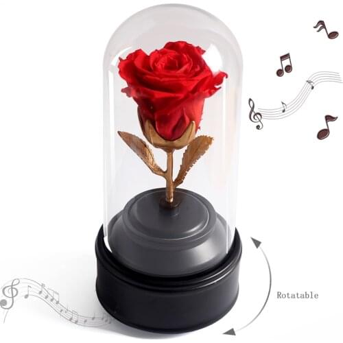 Eternal Rose In Glass Dome Rotating Music Box Castle in the Sky Theme Song Melody Christmas Birthday Gift Beauty the Beast Flowe