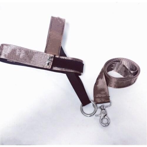 Cat Dog Harnesses Vest Adjustable Puppy Chest Strap Pug Safety Pet Dog And Leash Set Outdoor For Small Medium Dogs Supplies