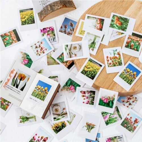 46Pcs/Pack Colorful Tulip Flowers Patterns Sticky Stickers Decoracion Boxed Scrapbook Office Stationery School Supplies