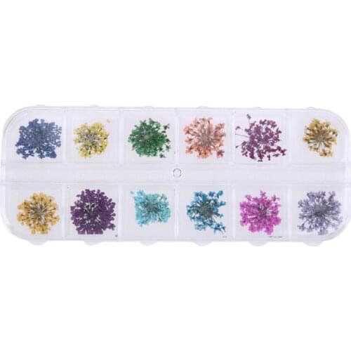12pcs/box Nail Art Real Dried Flowers 3D Nail Sticker for Nail Decoration