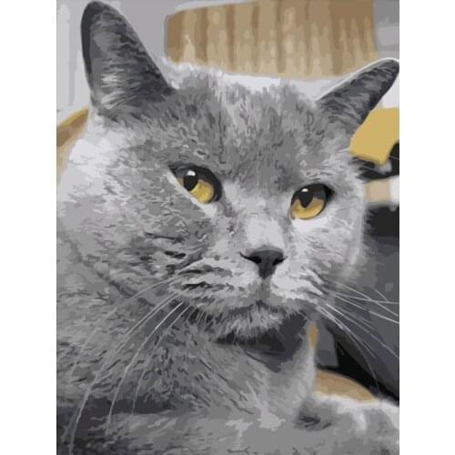 DIY Painting By Numbers Colorful Animals Cat Oil Painting HandPainted Home Decor Gift Canvas Drawing