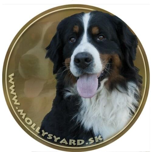 S40311# Various Sizes PVC Decal Berner Sennenhund Car Sticker Waterproof For Bumper Rear Window Laptop Refrigerator Toilet