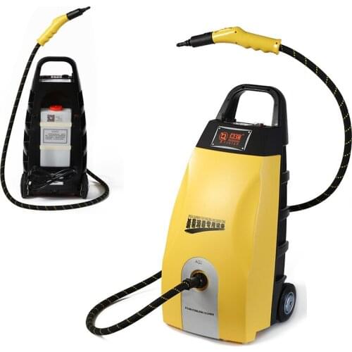 Multifunctional Steam And Ozone Integrated Machine Car Sauna Beauty Equipment High-power 3000w Commercial Steam Cleaning Machine