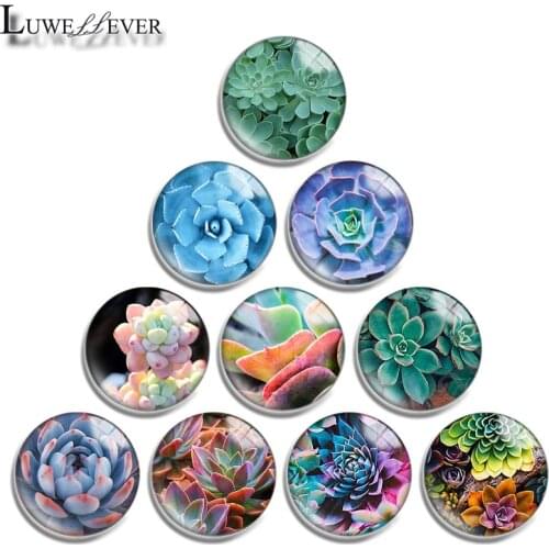 12mm 14mm 16mm 20mm 25mm 30mm 601 Succulents Mix Round Glass Cabochon Jewelry Finding 18mm Snap Button Charm Bracelet