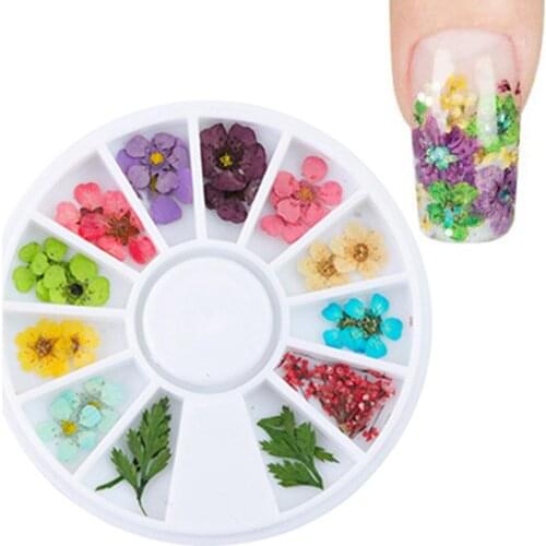 12 Colors Real Dried Flower 3D UV Gel Acrylic False Tips Nail Art Manicure Decor