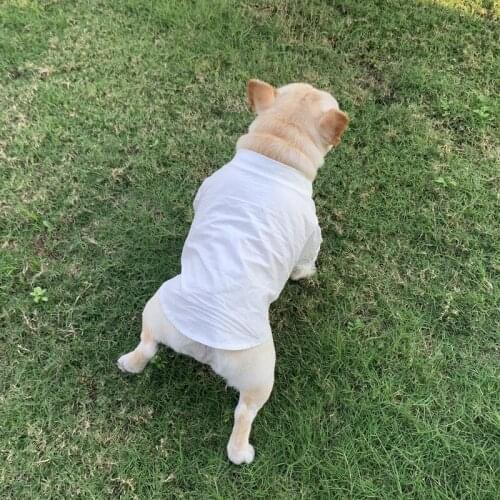 Fashion Pet Dog Summer Shirt for Large Dogs Labrador Retriever Tshirt Frenchie Bulldog Costume Pets Outfit PDC0106