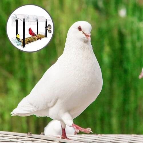 Acrylic Window Bird Feeder Strong Suction Cups Weatherproof with Shield Roof Drain Holes Outdoor Clear Bird House