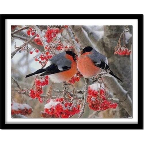 Diamant painting Diamond embroidery animals bird 5d diy diamond painting full square daimond painting 511DD diamond round