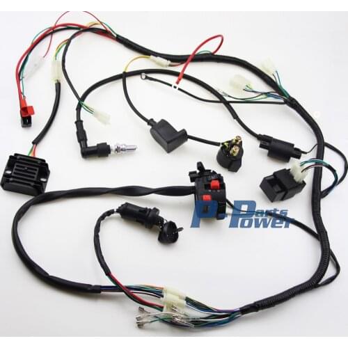 COMPLETE ELECTRICS ATV QUAD 200cc 250CC COIL CDI HARNESS WIRING ATV QUAD BIKE GoKart
