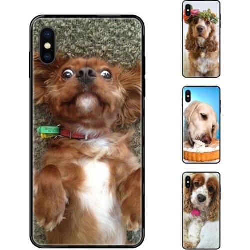 For Galaxy A70 A71 A70E A5 A6 A7 A8 A10 A10S A20 A20S A20E A21S A30 A30S A40 A50 Cocker Spaniel Newest Black Soft TPU Protector