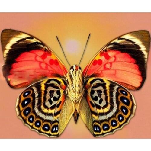 Diy Diamond Embroidery Cross Stitch Kit Beautiful butterfly Full Square Round Diamond Painting Mosaic Wedding DecorationsZP-2512