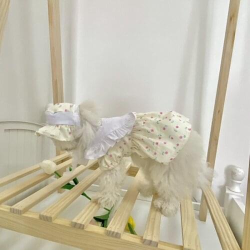 Summer Dog Dress New Lolita Maid Pet Hat Cap Princess Dresses Puppy Cat Skirt Teddy Clothing Yorkshire Bichon Poodle Dog Clothes