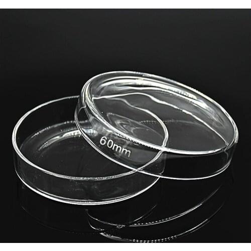 Glass Petri Dish 60 mm High Borosilicate Glass Thick Culture Dish Clear and Smooth Lab Glassware Resist High Temperature 10 / PK