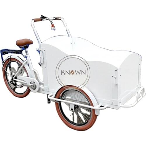 Electric Adult 3 Wheels Cargo Bike Children Transport Tricycle Mobile Snack Food Cart for Sale