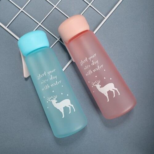 New Plastic Bottle Ladies Portable Cute Creative Harajuku Style Simple Anti-fall Bottle Net Red Frosted Water Bottle