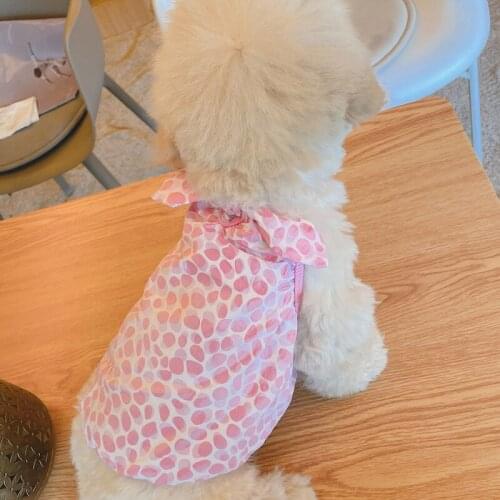 Kawaii Maltese Skirt Cute Cat Dog Skirts Cute Dot Pet Dog Vest Dress Schnauzer Pomeranian Sling Clothes Puppy Princess Clothing