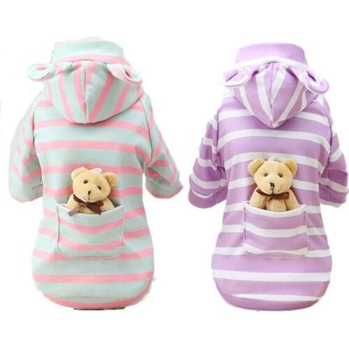 Small Dog Hoodie Cartoon Clothes Cat Jacket Yorkshire Pomeranian Shih Tzu Maltese Poodle Schnauzer Dachshund Winter Pet Clothing