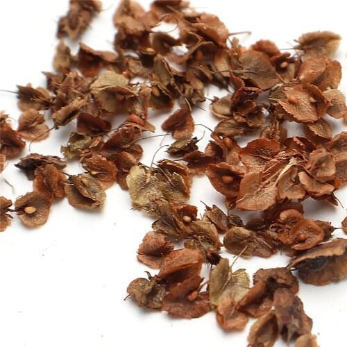 Natural Artificial Leaf for Gundam Tank Military Model Simulation