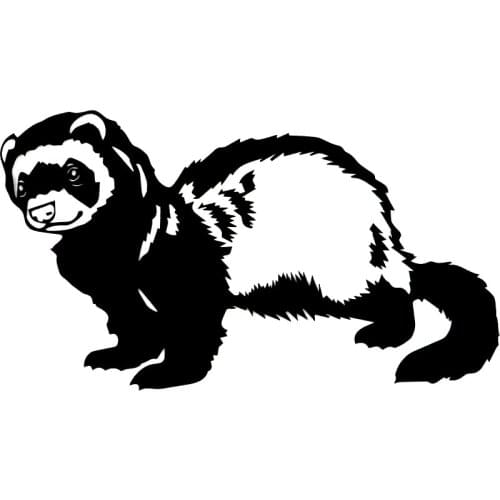 Cartoons Car Sticker Quality Ferret Wild Animals Accessories Car Styling Vinyl Motorcycl Decals Cover Scratches PVC 16cm X 10cm