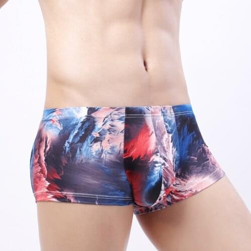 New Sexy Underwear Men Boxer Mens Underpants Man Printed Penis Boxers Cuecas Masculina Boxershorts HT051